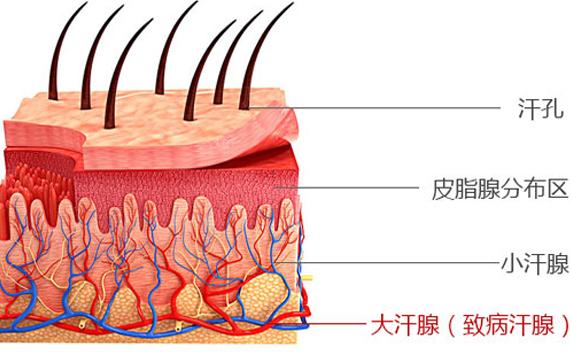 长沙治疗腋臭的专科医院