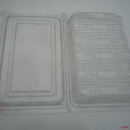 湖南吸塑供应商 长沙市展达塑料包装制品有限责任公司