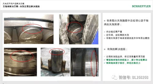 长沙佳信组织学习 舍弗勒风电后市场产品解决方案与精准运维服务 相关知识