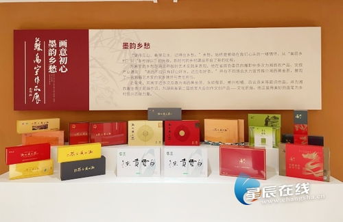 近百件艺术精品展现墨韵里的乡愁 湘籍画家苏高宇作品展在长沙开幕